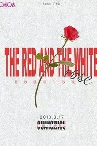 广州年底活动地推荐,深圳周末活动