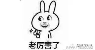 饭圈追星必备知识,饭圈追星的基本知识