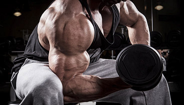 增肌同一个部位几天练一次,每天一练锻炼身体