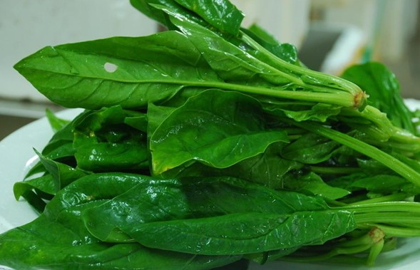 这些维生素丰富的食物多吃真的可以有效保护我们的眼睛