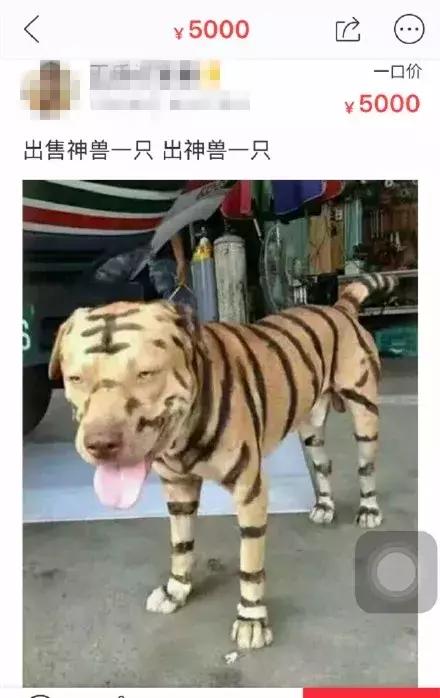 闲鱼上低价商品靠谱吗,某鱼买家下单联系不上买家怎么办