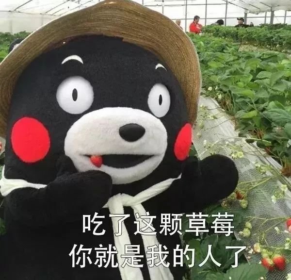 陈冠希吃的苹果,陈冠希吃的白草莓什么品种