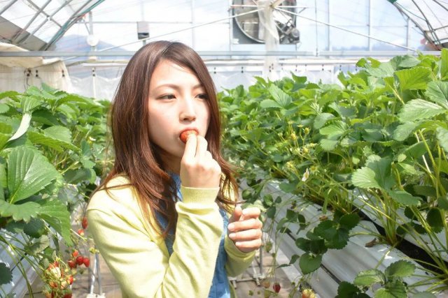 陈冠希吃的苹果,陈冠希吃的白草莓什么品种