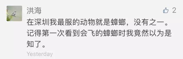 南方的“小强”,能把东北爷们活活吓哭!教你4招拿下它们