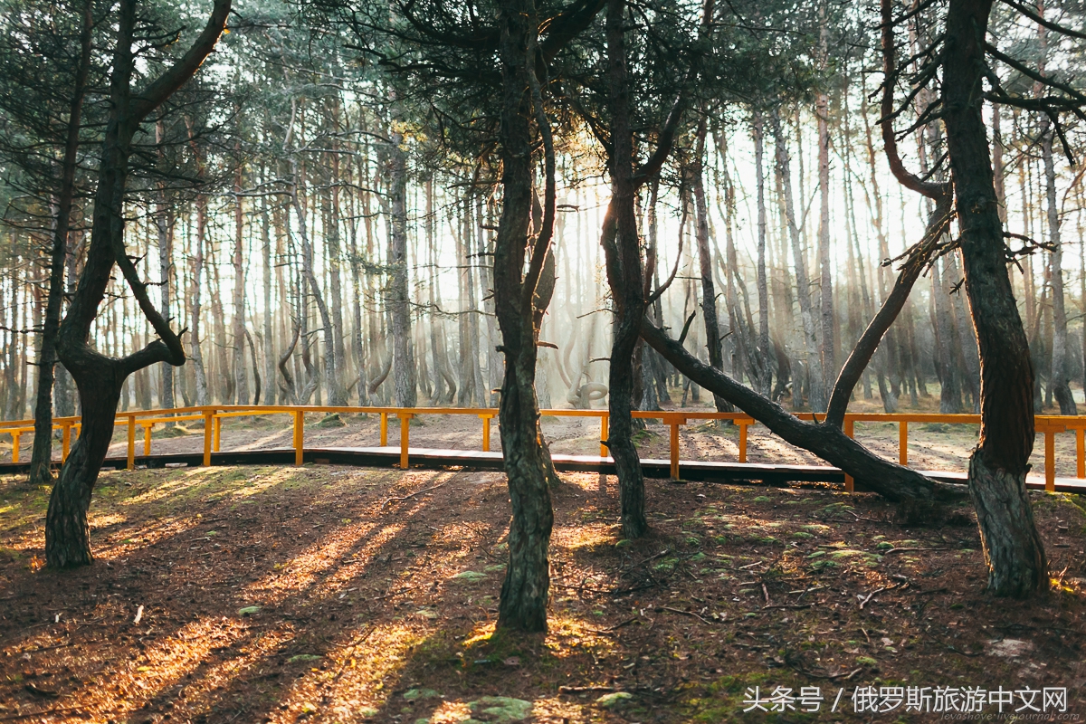 俄罗斯遗产目录大全,格鲁吉亚世界遗产名录