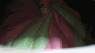 新加坡15个骨灰级秘密，知道一半你比本地人还厉害~