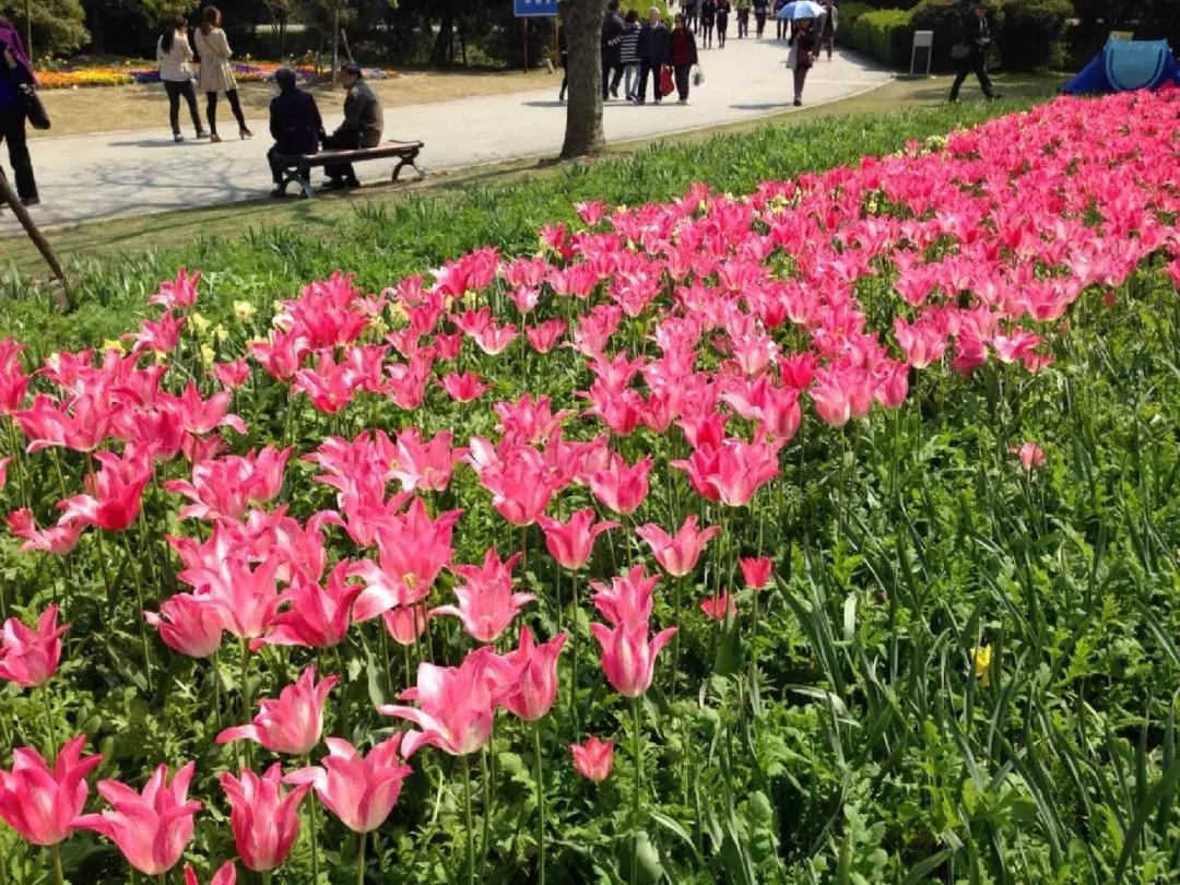 上海地铁首末班车时间全部,上海地铁首末车时间表最新