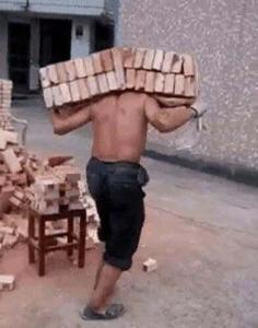 毒奶粉搬砖小结,毒奶粉搬砖37天