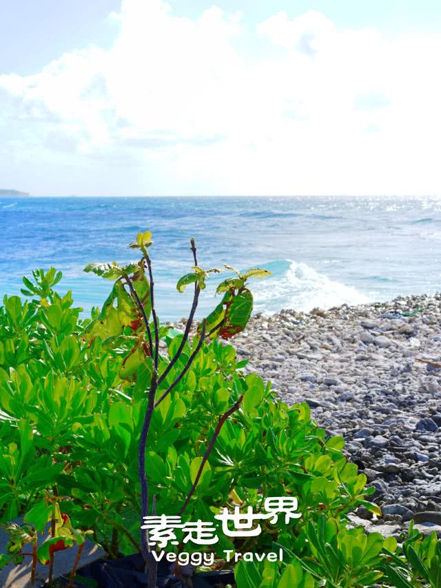 这个即将沉没的国家因专家一句话燃起了希望事实怎样自己去看