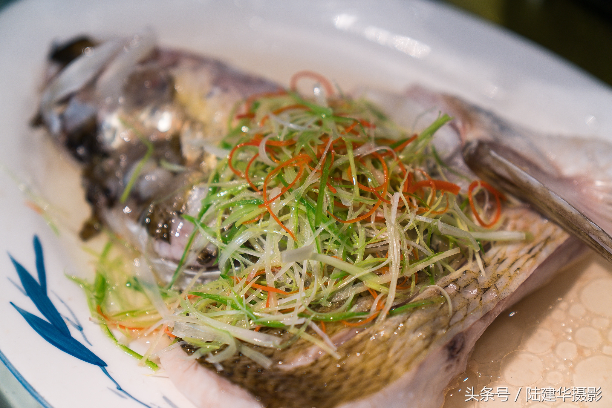 太湖赏樱花鼋头渚旅行攻略,太湖鼋头渚风景区看樱花旅游攻略