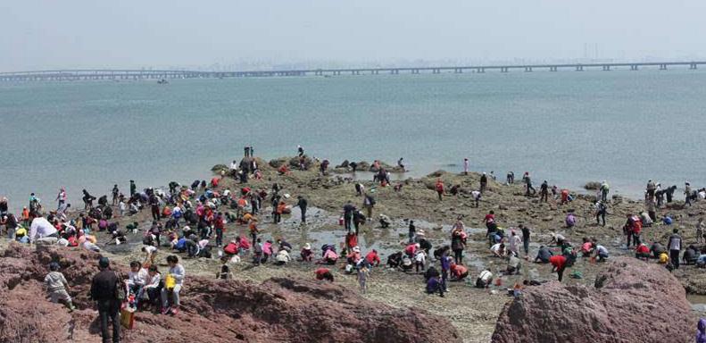 青岛的民俗文化视频,青岛市区方言历史