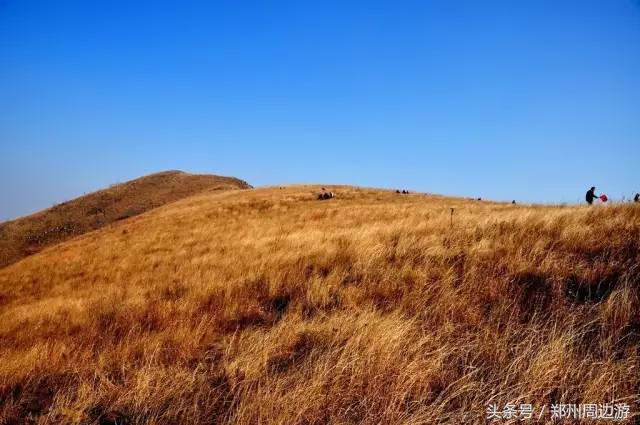 河南安阳自驾游必去的十个景点,河南洛阳周边自驾游免费景点