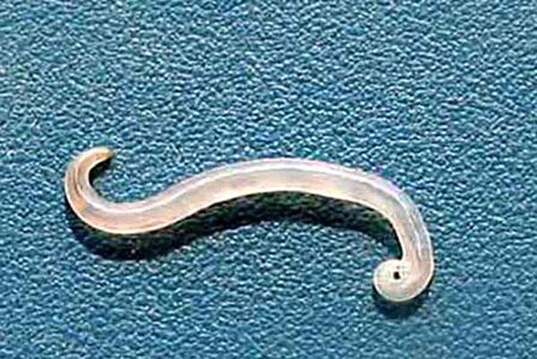 婴儿的护理主要是哪些方面,婴儿的护理方法是维语的