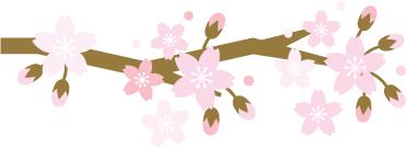 315揭秘打假,315维权的真实经历