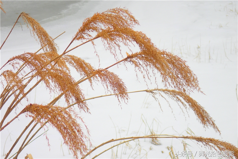 本溪关门山徒步攻略,边走边拍风景视频素材