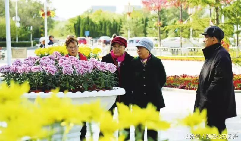 请回答90后的重庆,请回答2009完整版