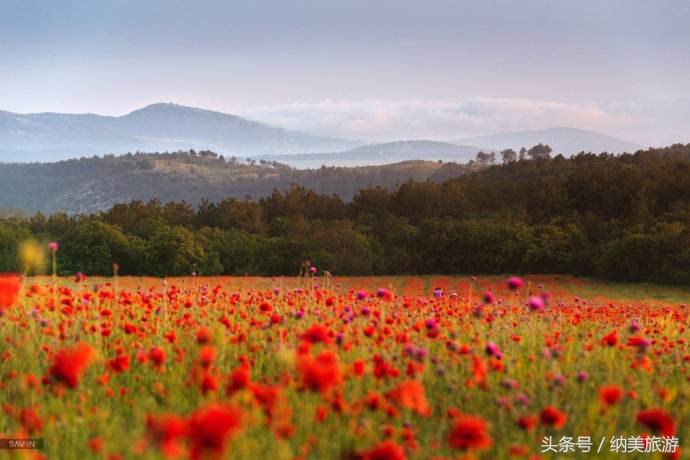 国家地理评出一生必去的30个地方,国家地理评选中国50个必去景点