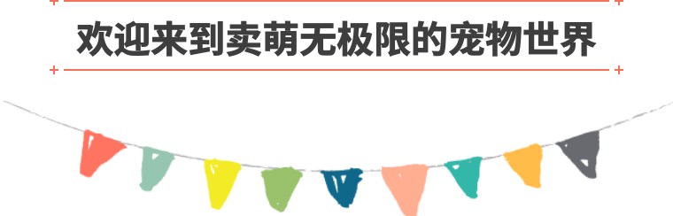 吉娃娃是世界上最小的纯种犬,吉娃娃是最古老的犬种