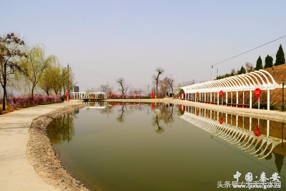 秦安:芳蕊遍地蜜蜂闹*光春**明媚凤山娇