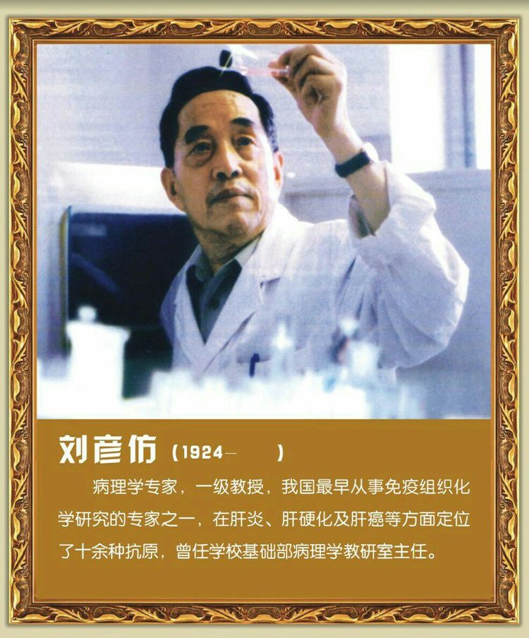 第四军医大学在全国排名,第四军医大学全口义齿修复大师