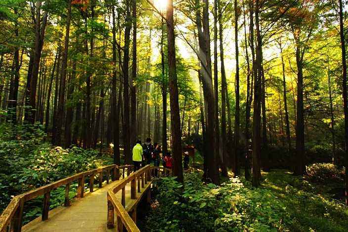 河南旅游攻略必去十大景点推荐,河南旅游攻略必去十大景点有哪些