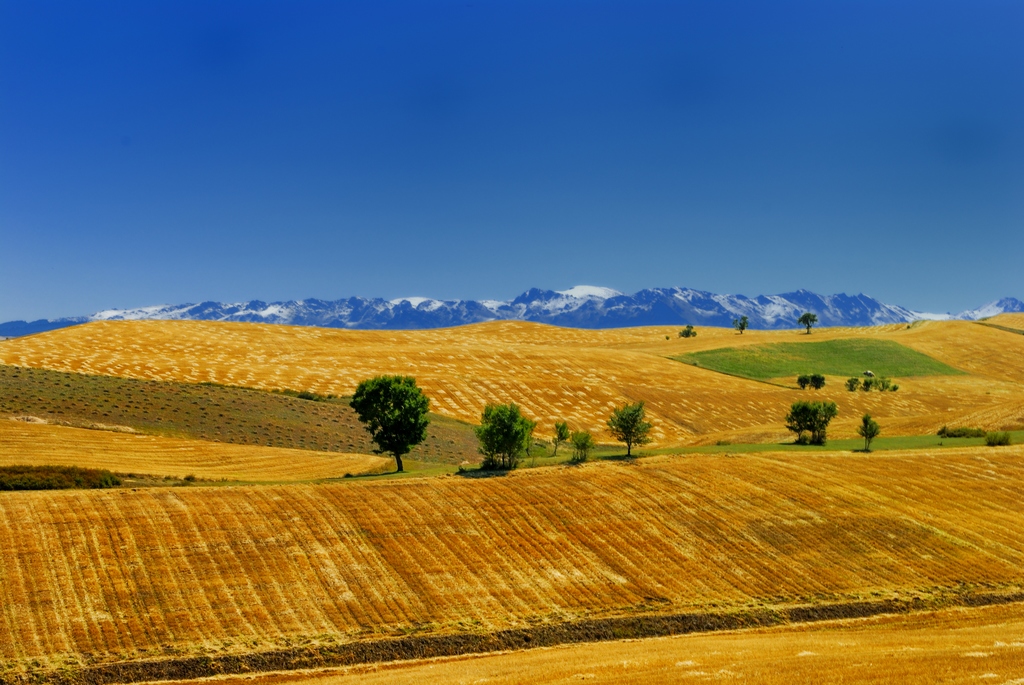 瑞士江布拉克风景,江布拉克雪山风景