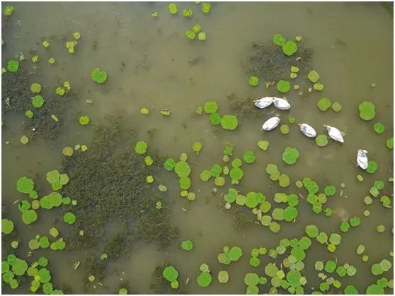 两家隐匿在迪士尼边的亲子度假庄园,采摘、烘焙,好的不得了!