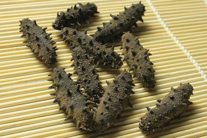 买海参注意事项,买海参注意事项有哪些