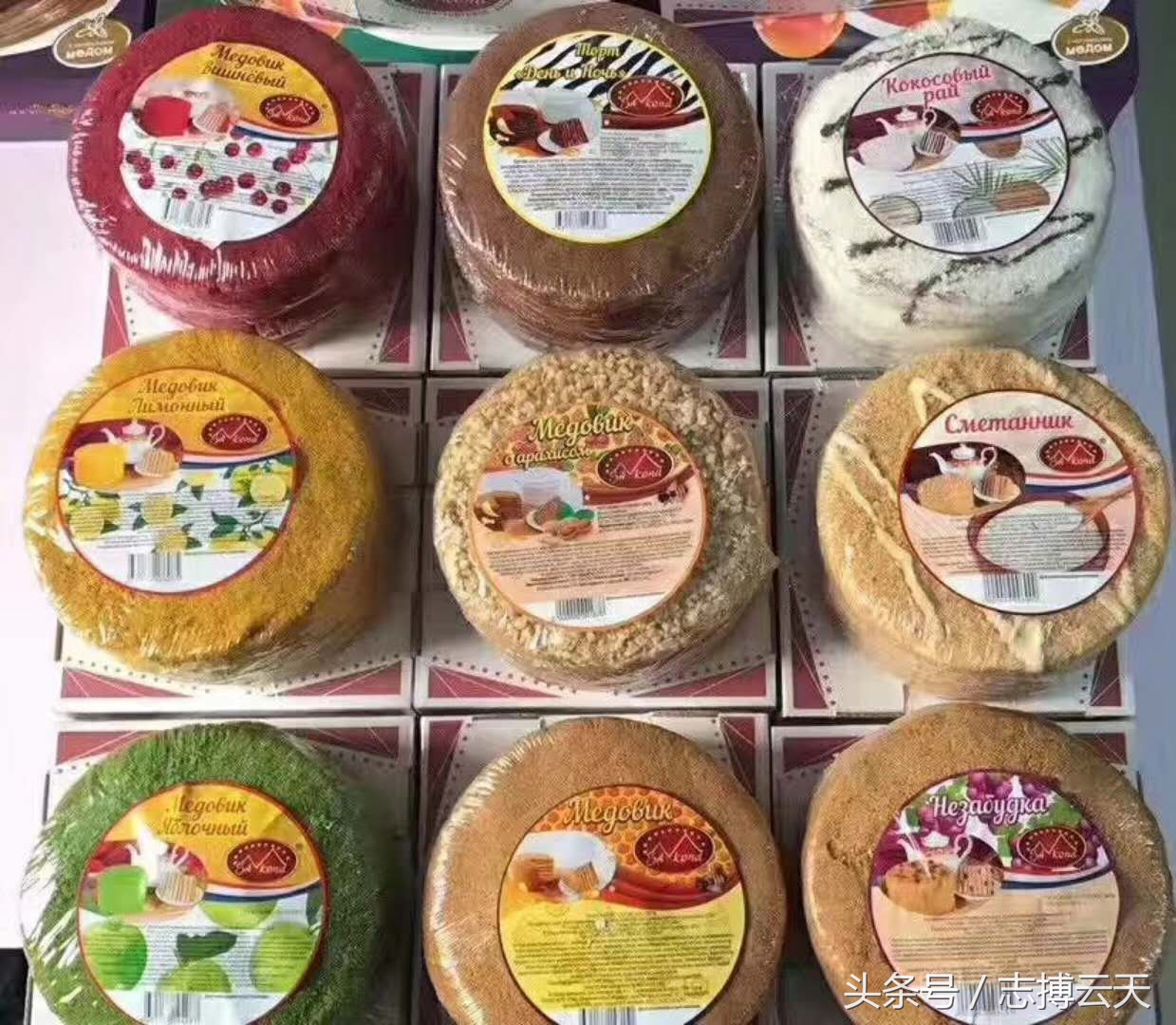 俄罗斯蛋糕提拉米苏,俄罗斯提拉米苏怎么辨别真假