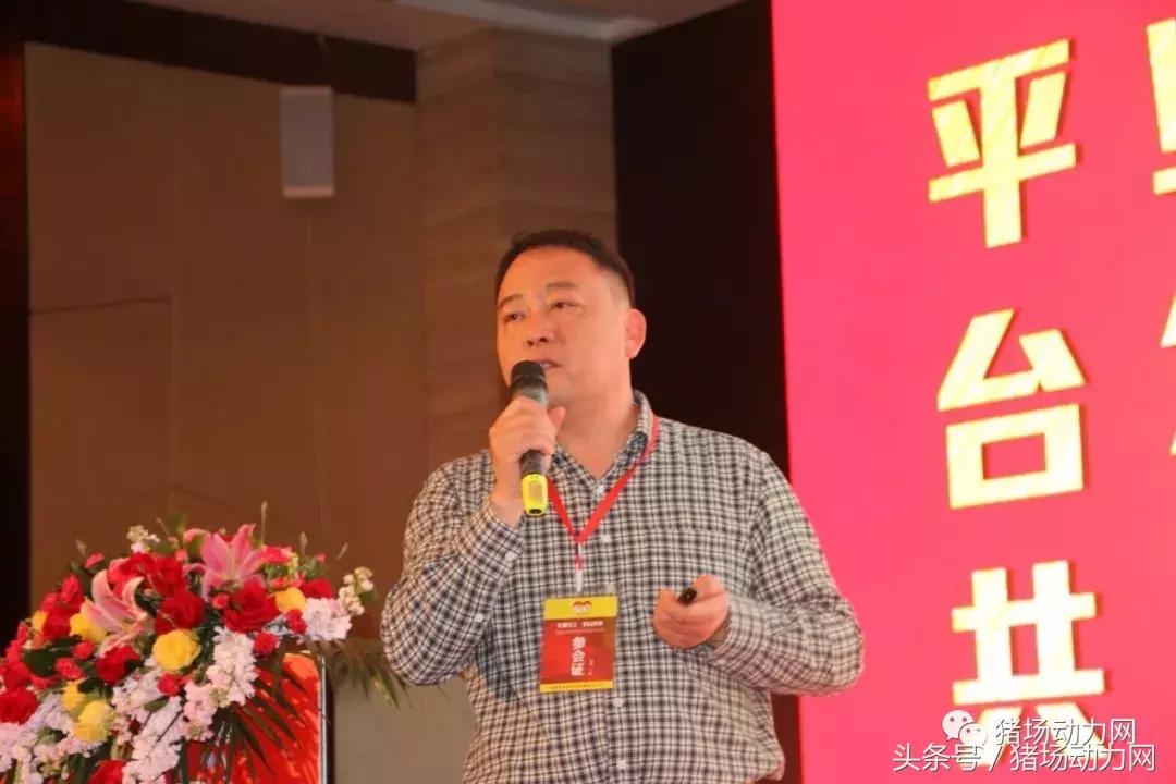 双胞胎饲料产能,双胞胎饲料销量