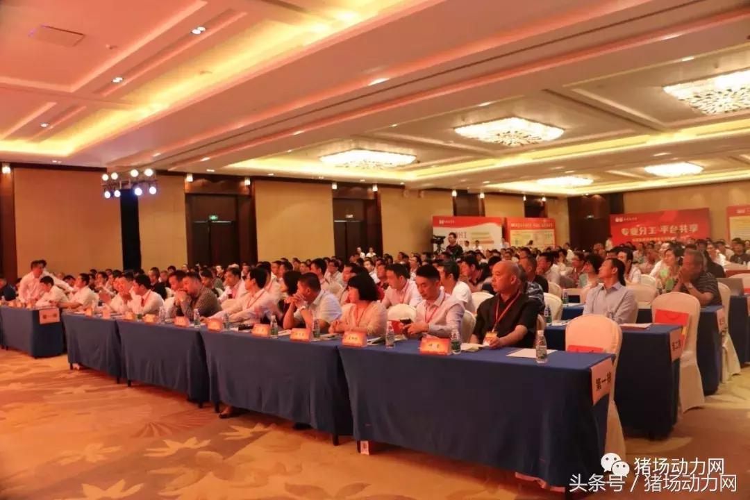 双胞胎饲料产能,双胞胎饲料销量