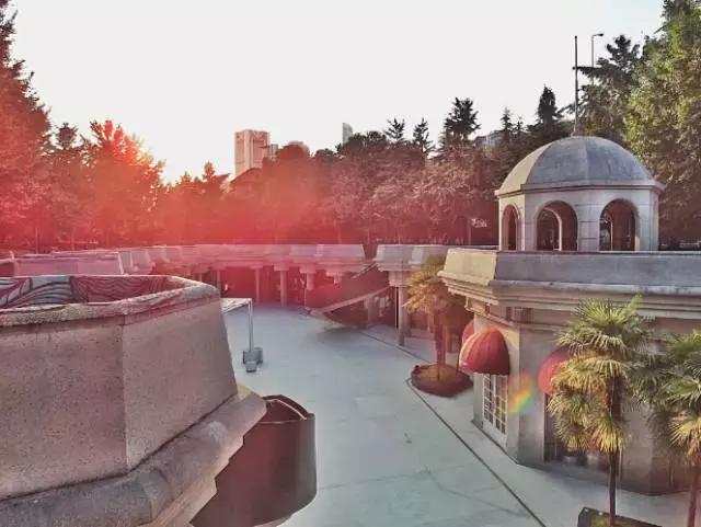 上海网红路前十名,上海网红马路