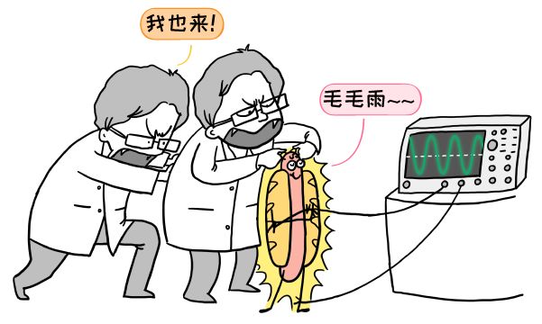 动动鼠标,超导量子处理器