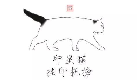 猫谱：因相成名，因名成谱《蓝毛毛找猫》24：猫出有名