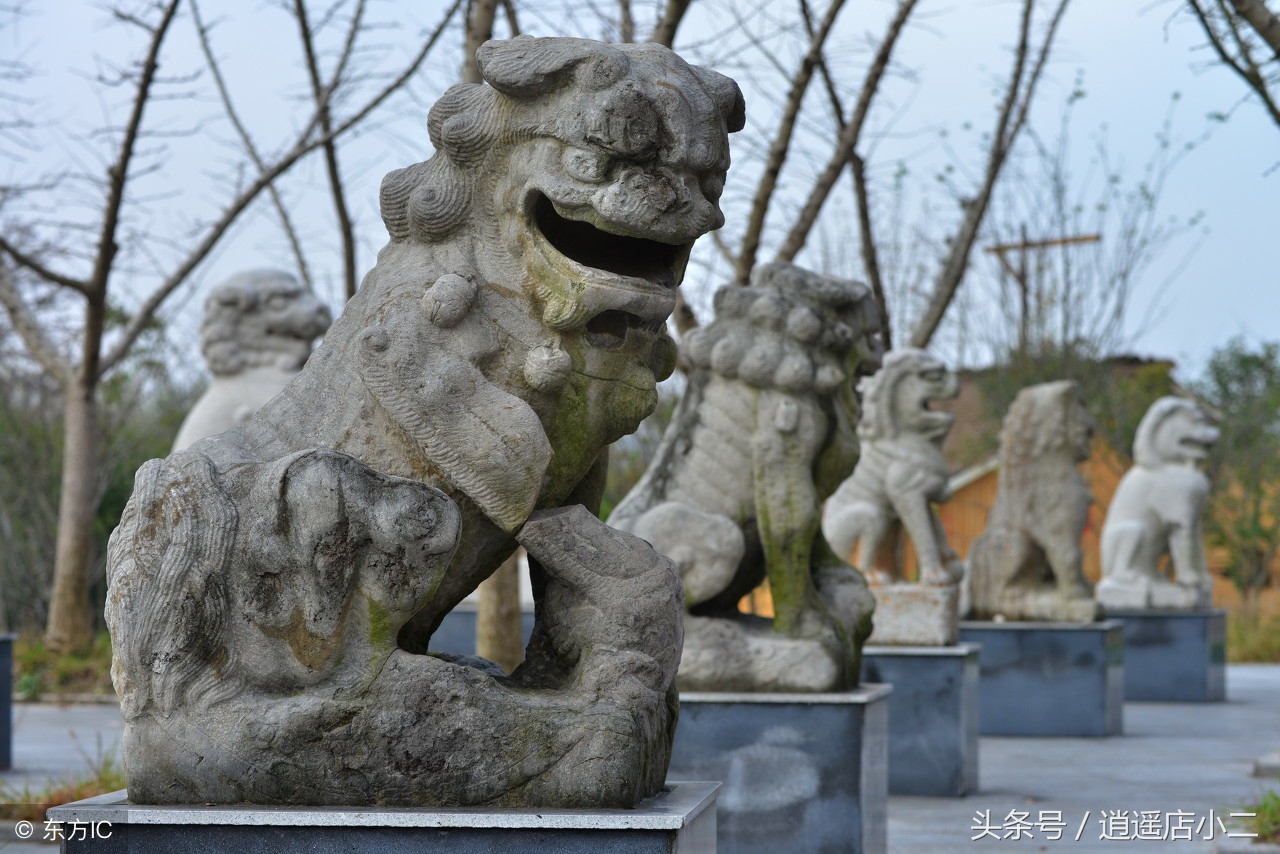 80后夫妻创业做熟食,90后小本创业项目代理介绍