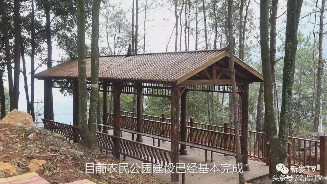 龙岩市新罗区龙门镇洋畲乡村旅游,新罗区龙门镇洋畲村