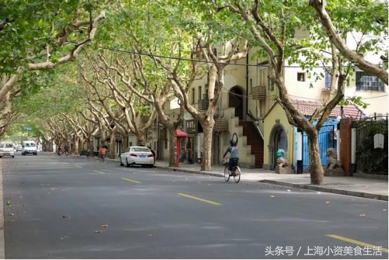 上海的十大网红街道你都去过嘛,盘点上海市十大网红