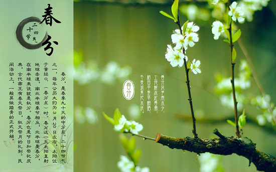 今日春分丨序多多有一份小程序福利包送给你，主题：浪！