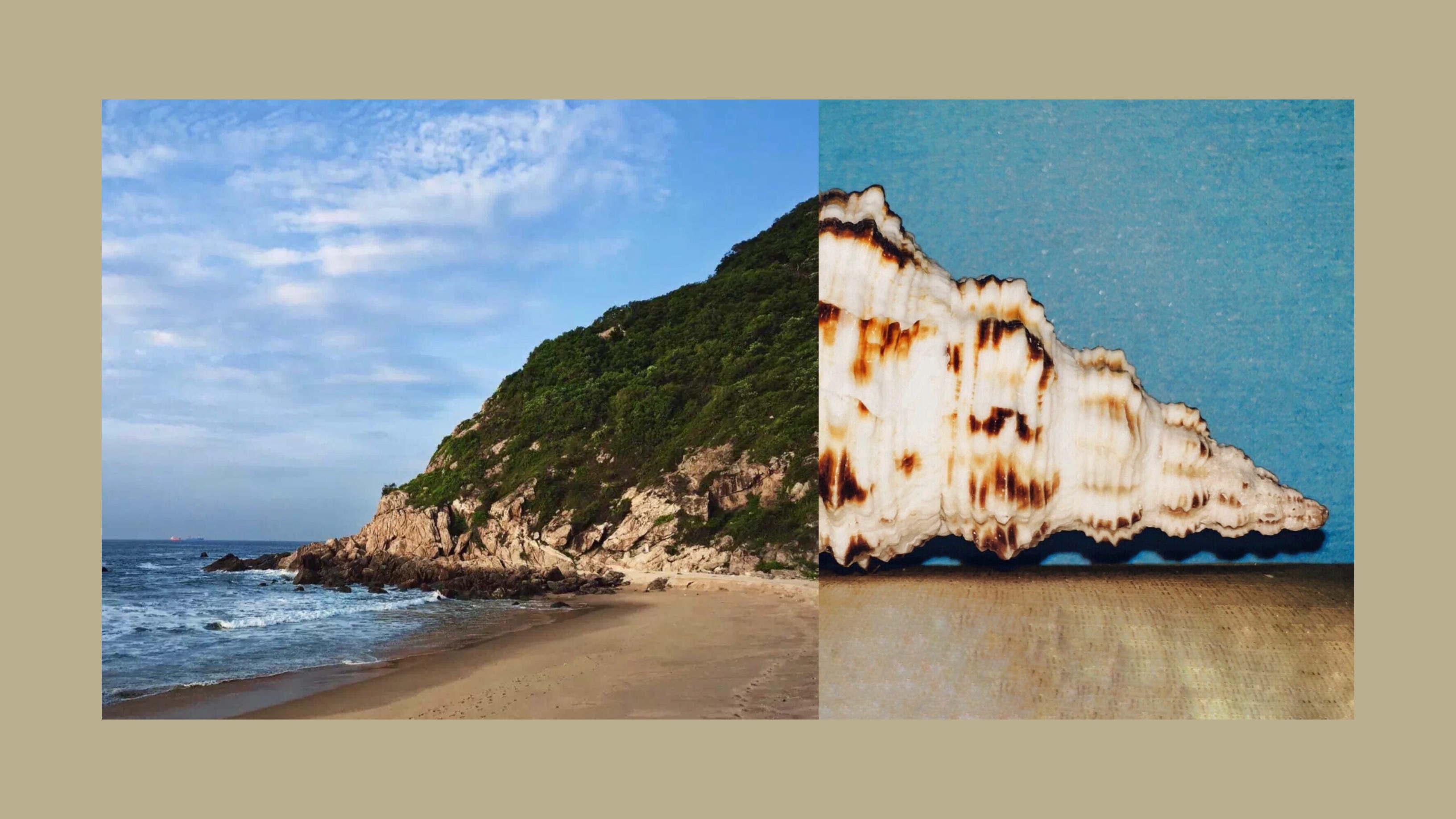 用什么app能拍出高级的照片,教你用手机拍出美哒哒的照片