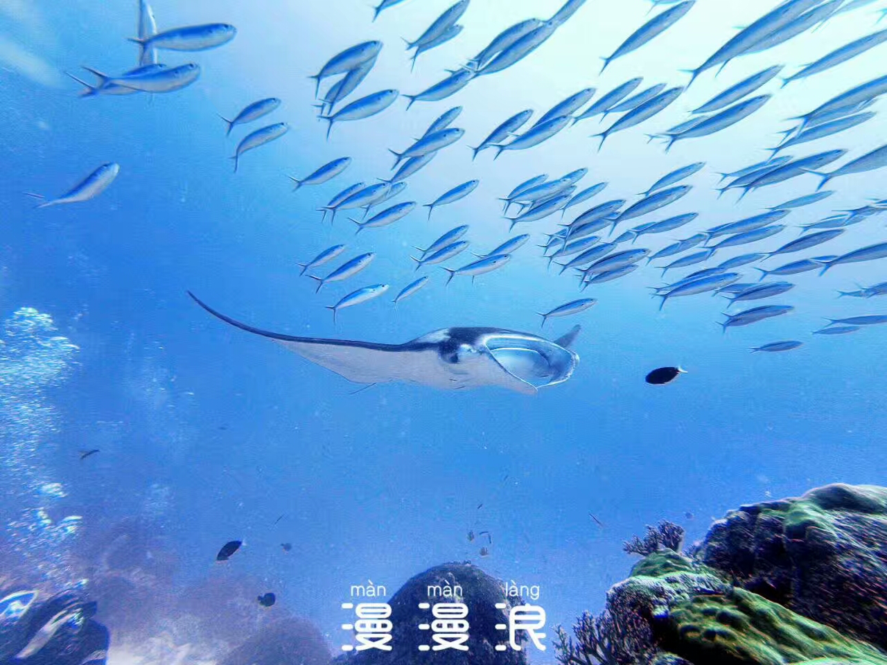 经常熬夜的人！一定要来帕劳看看！用帕劳蓝治愈你的失眠焦虑！