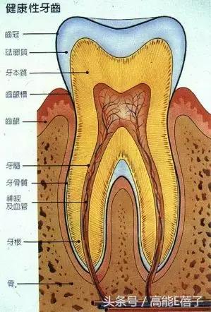 高圆圆牙齿美白,高圆圆40岁美白秘诀