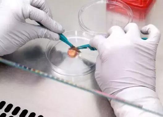 抗癌效力提高100倍,抗癌伟哥