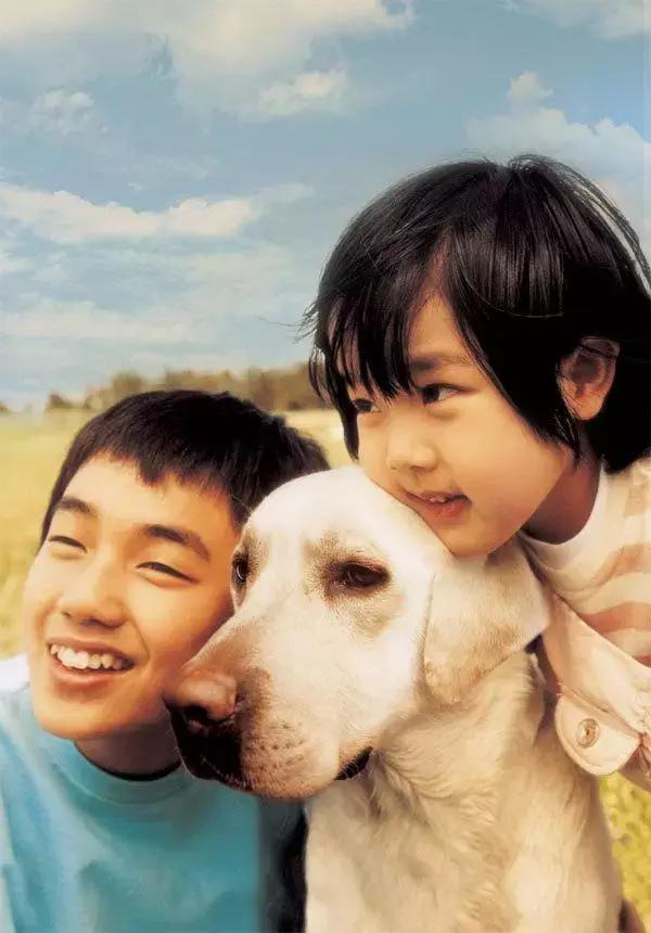 十大经典狗片排行榜国外,评价最高的十部关于狗的电影