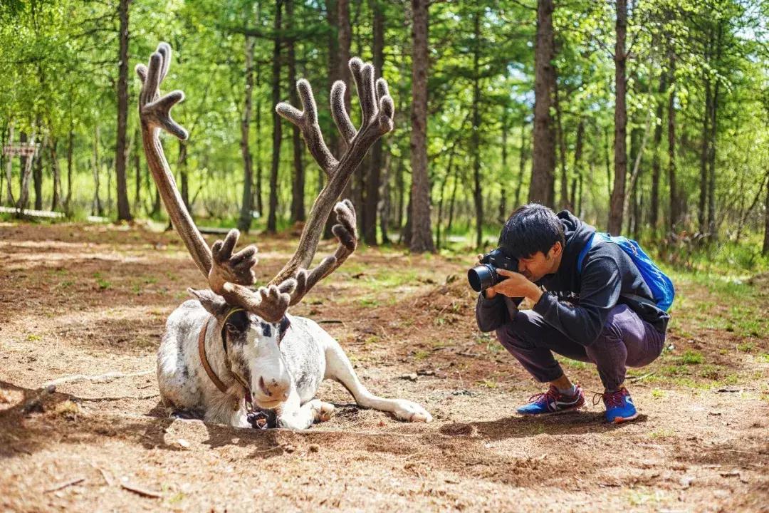 追星旅游记,追星大环线日记
