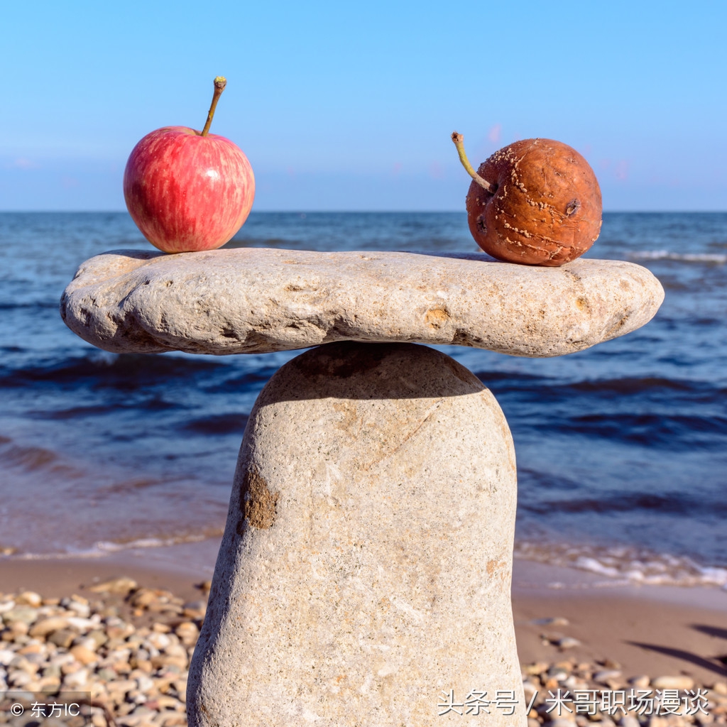 如何搭建职场的人脉关系,如何快速建立职场人脉圈