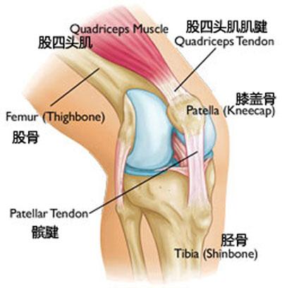别让疾病阻止你保养健康,别让髌腱炎阻碍了你运动的脚步