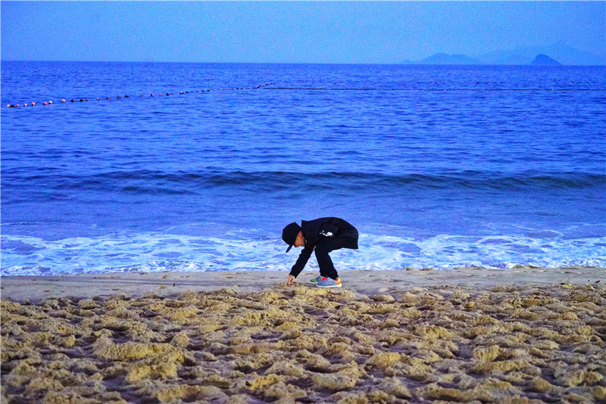这里是深圳最美的海滨栈道,深圳大梅沙海滩风景