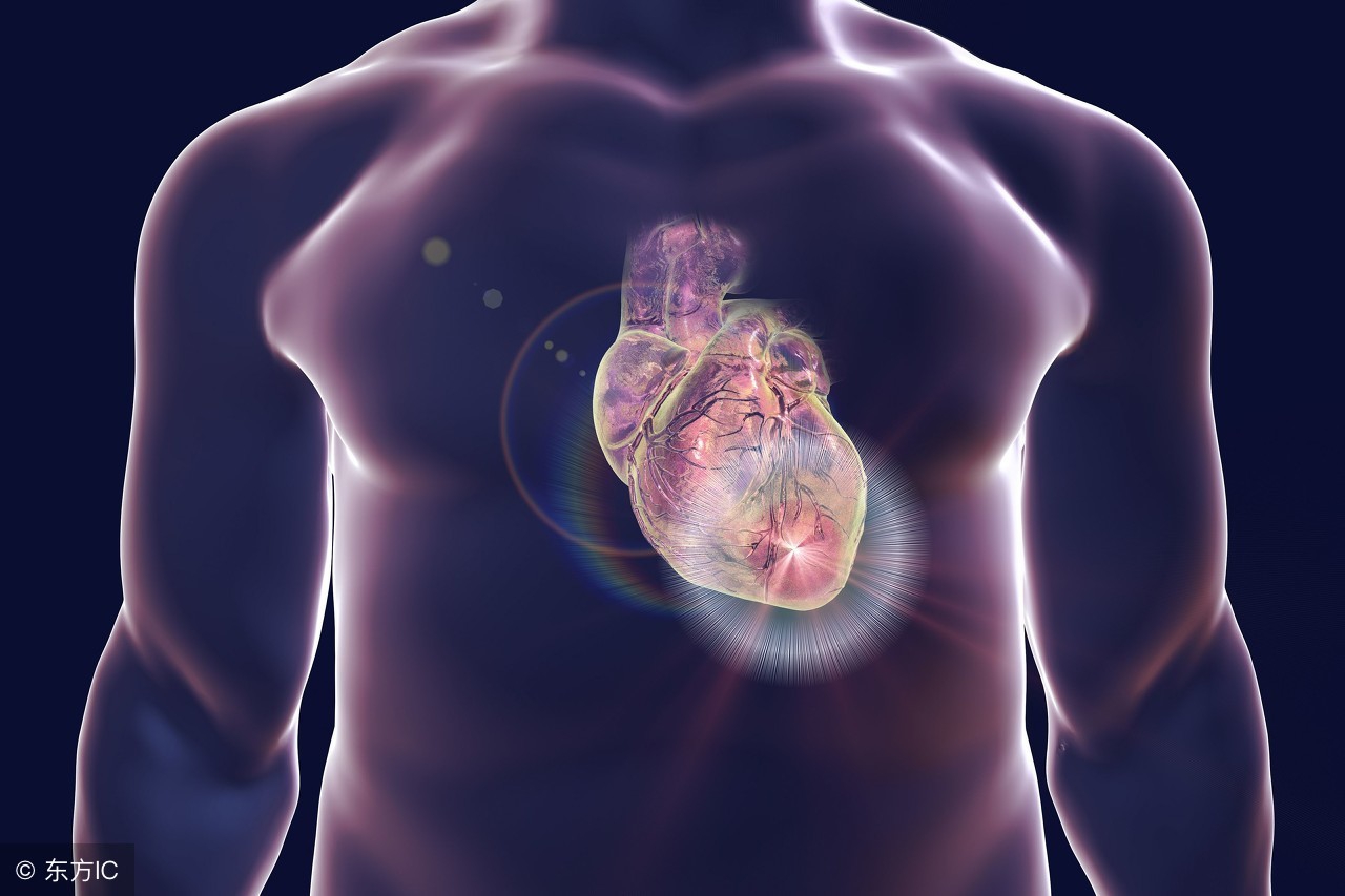 心脏病食疗食谱大全,利于心脏病的养生食谱