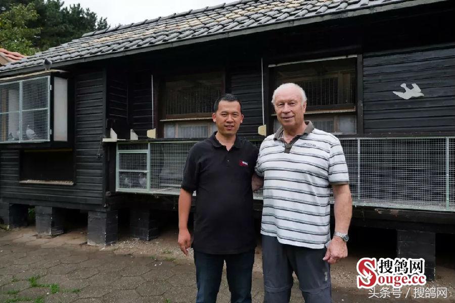 搜鸽网信息,赛鸽资讯知识分享