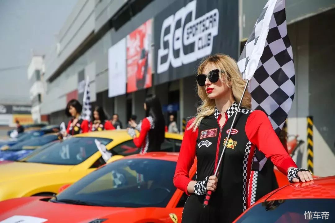 我和春天有个约会,我和春天有个约会阅读